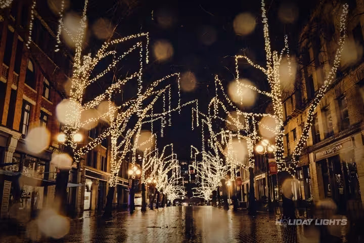 Professional municipal Christmas light installation in Bridgeport, Connecticut — Cityscape Holiday Lighting