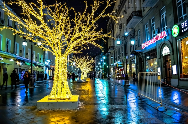 Tree Wrapping & Canopy