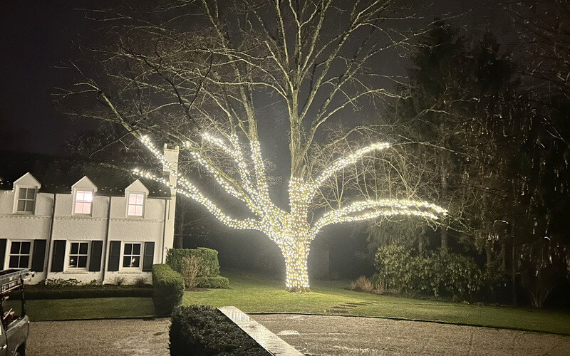 Christmas Light Leasing